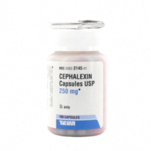 cephalexin