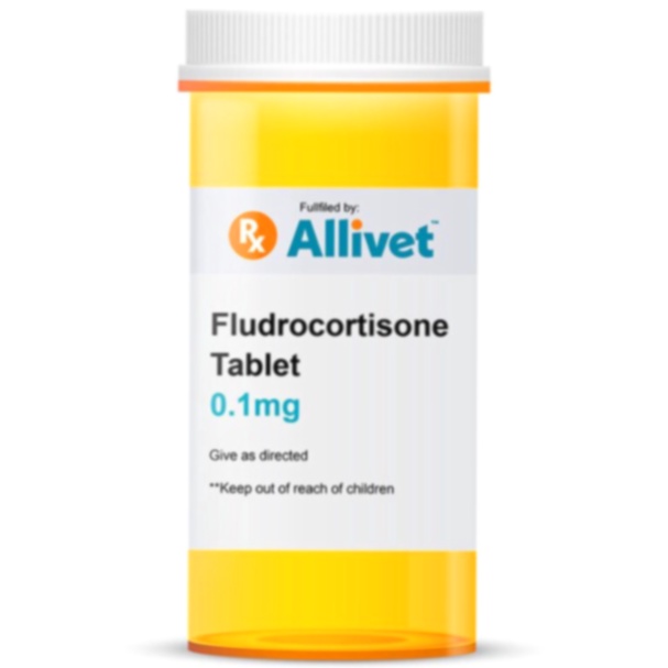 fludrocortisone